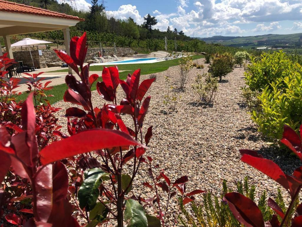 Quinta Bemboa Turismo Espaco Rural Aricera Exterior photo
